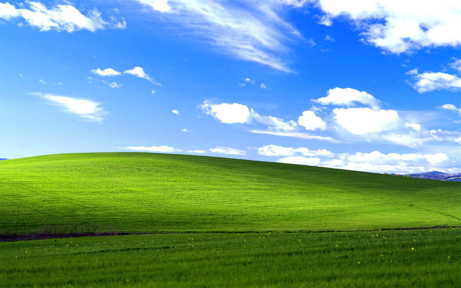 Bliss, la photographie du fond d’écran de Windows XP
