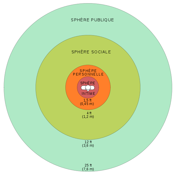 Diagramme des sphères proxémiques selon Edward T. Hall.